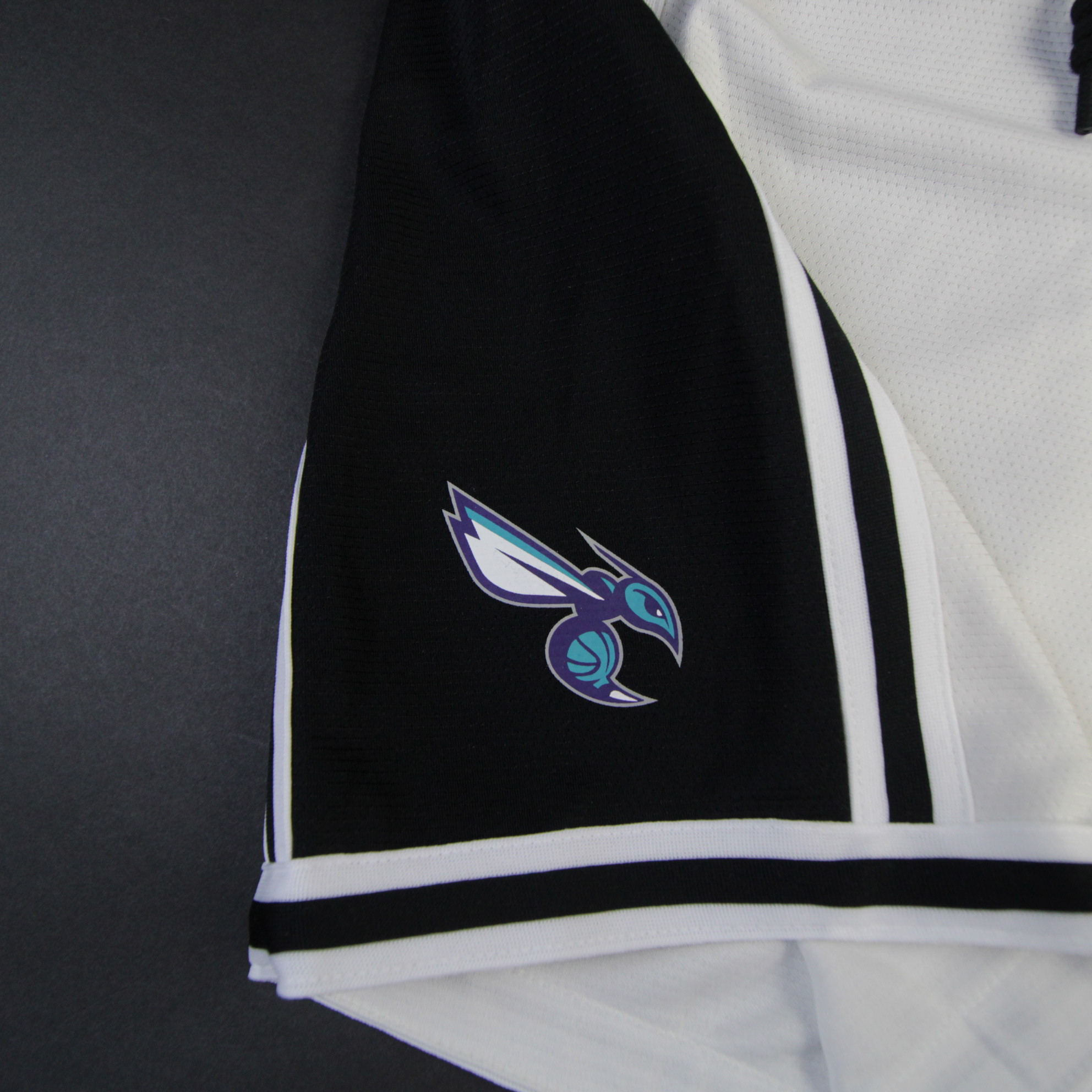 Nike Charlotte Hornets NBA Fan Shop